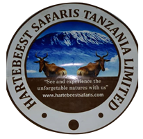 Hartebeest Safaris Tanzania Limited