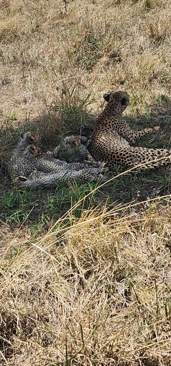 Serengeti National Park