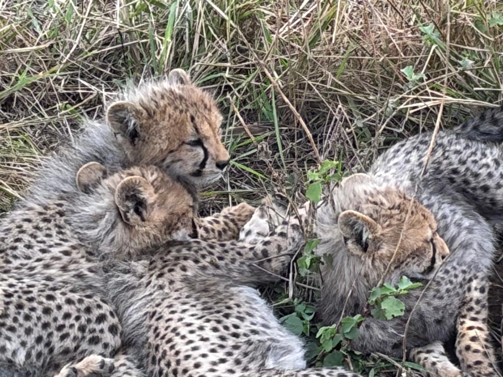 Serengeti National Park