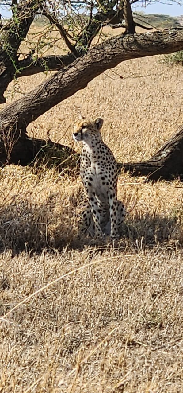 Serengeti National Park