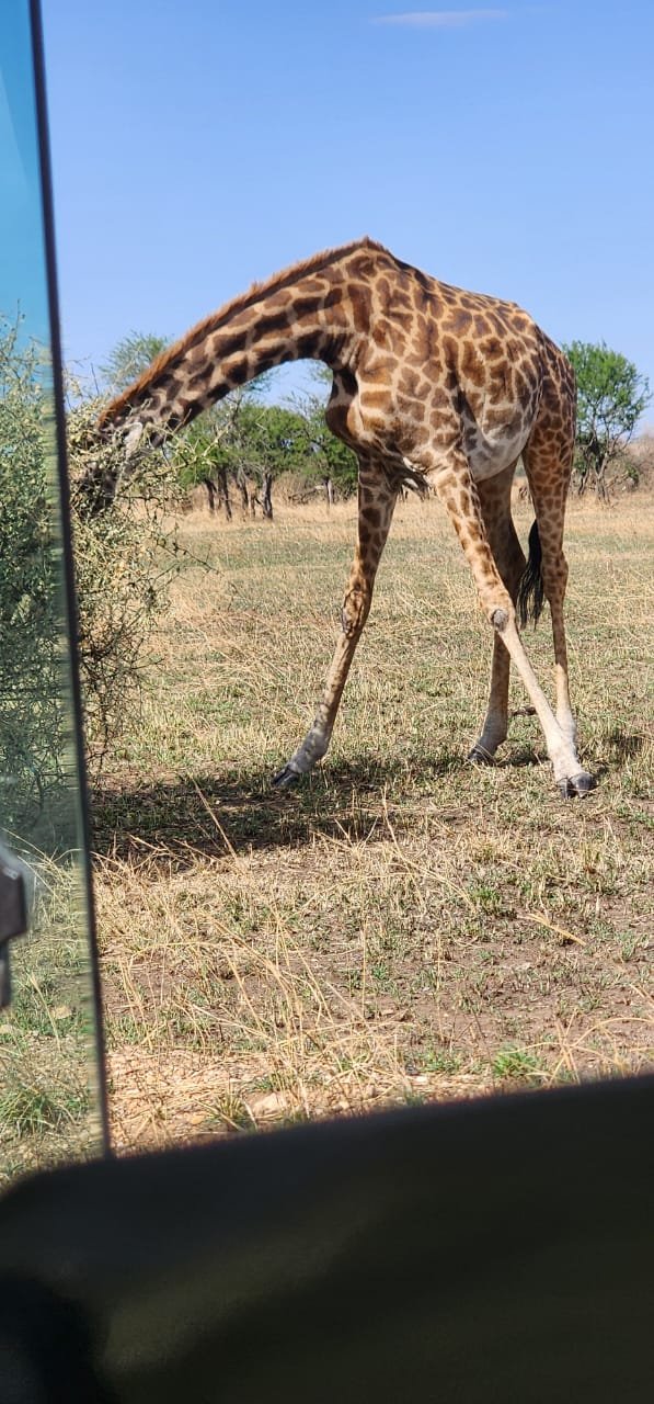 Lake Manyara National Park