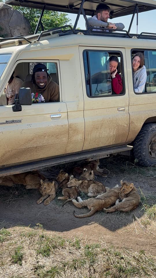 Sunset Tours safari vehicle during a game drive; general safari photo