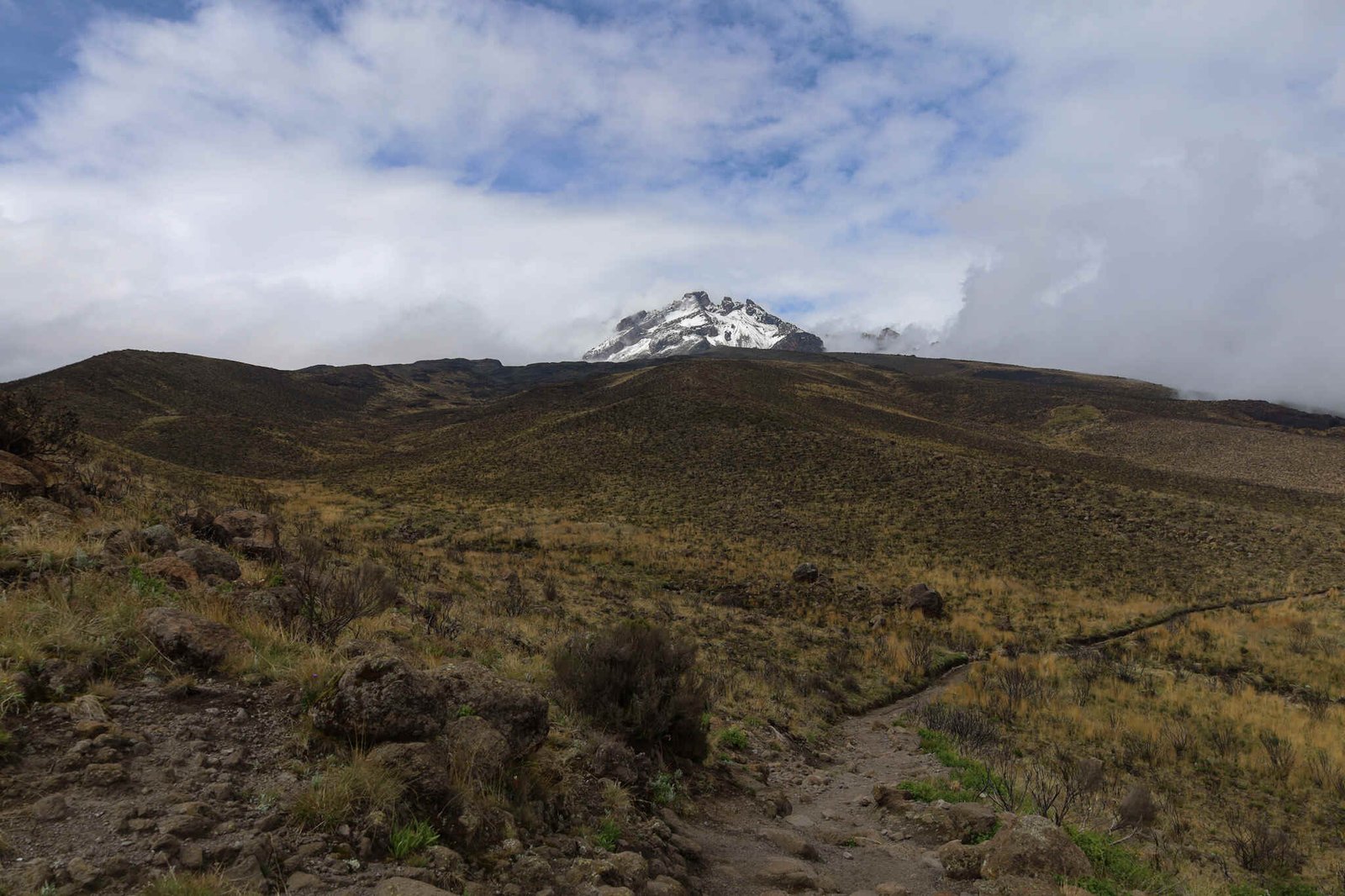 Kilimanjaro's snowy summit above open moorland